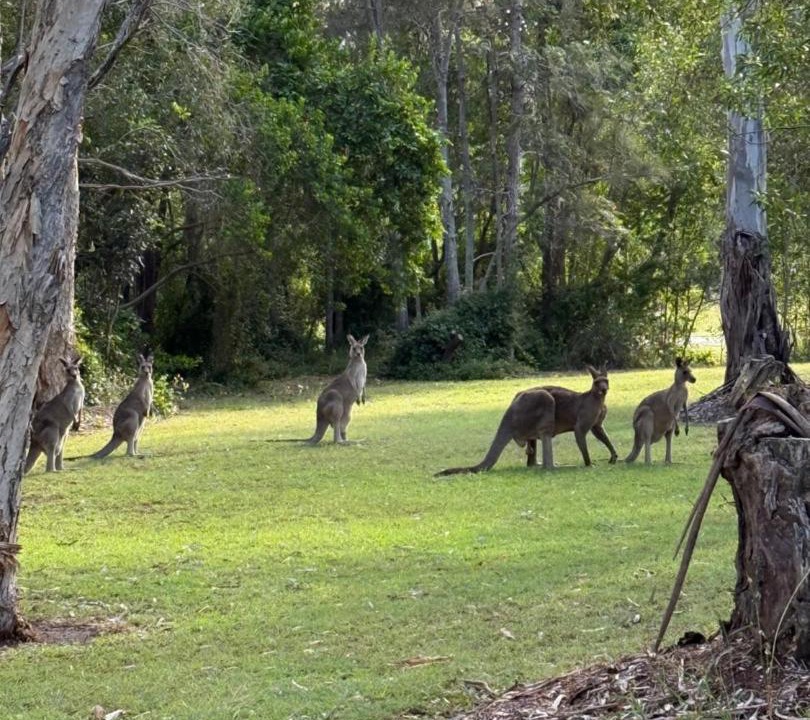 Photo of Others in Traviston