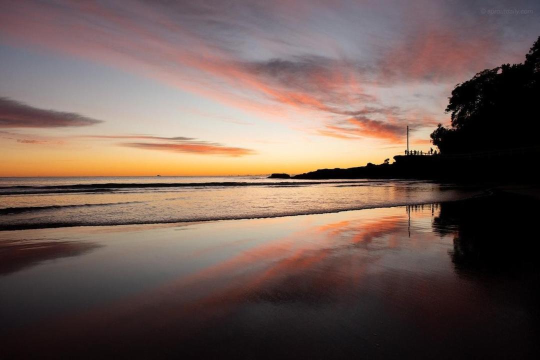 Photo of Others in Manly