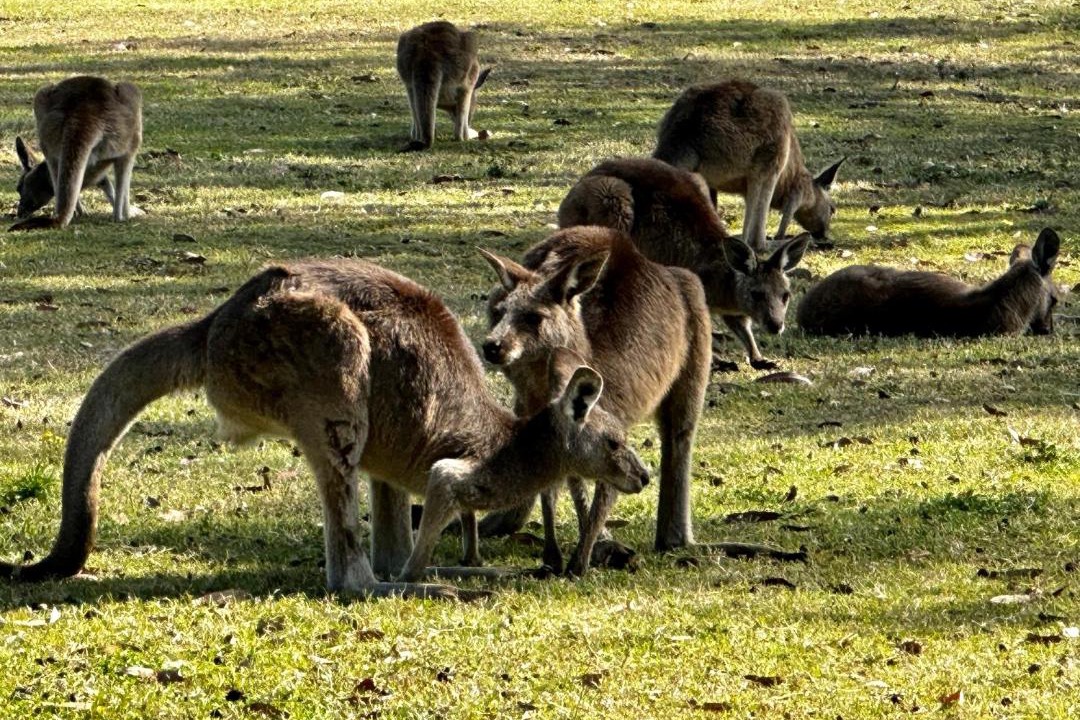 Photo of Others in Southport