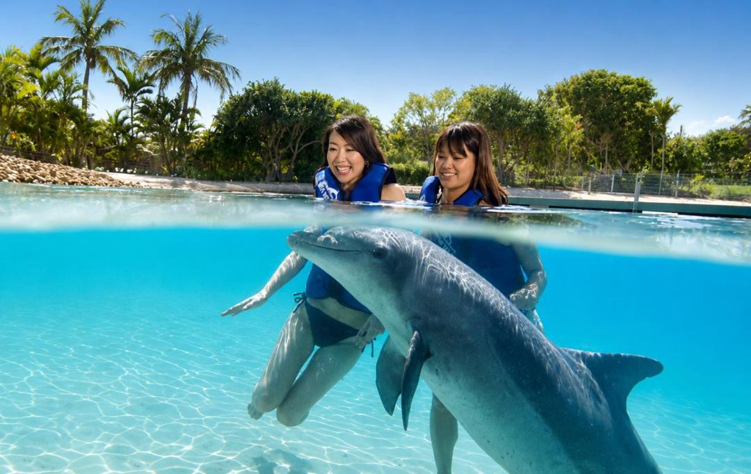 Photo of Others in Biggera Waters
