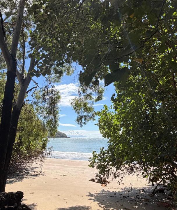 Photo of Others in Oak Beach
