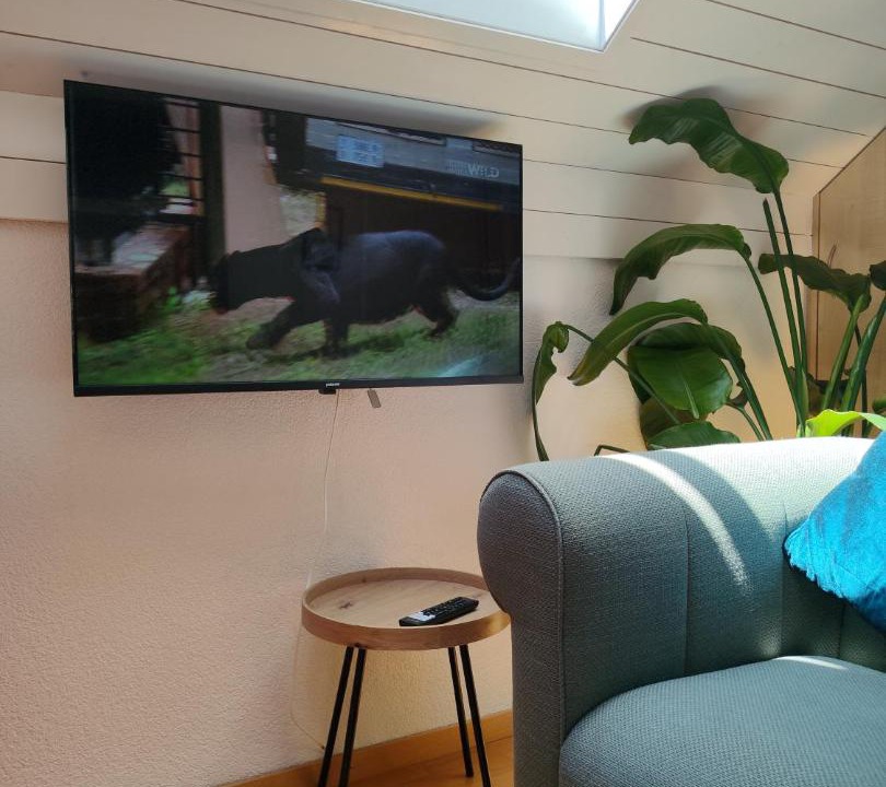 Photo of Livingroom in Allschwil