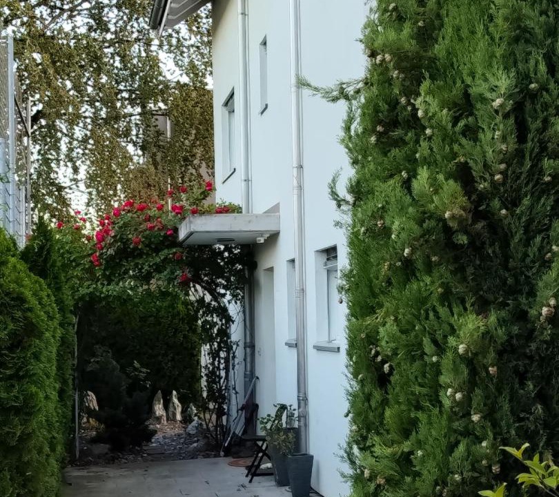 Photo of Others in Allschwil