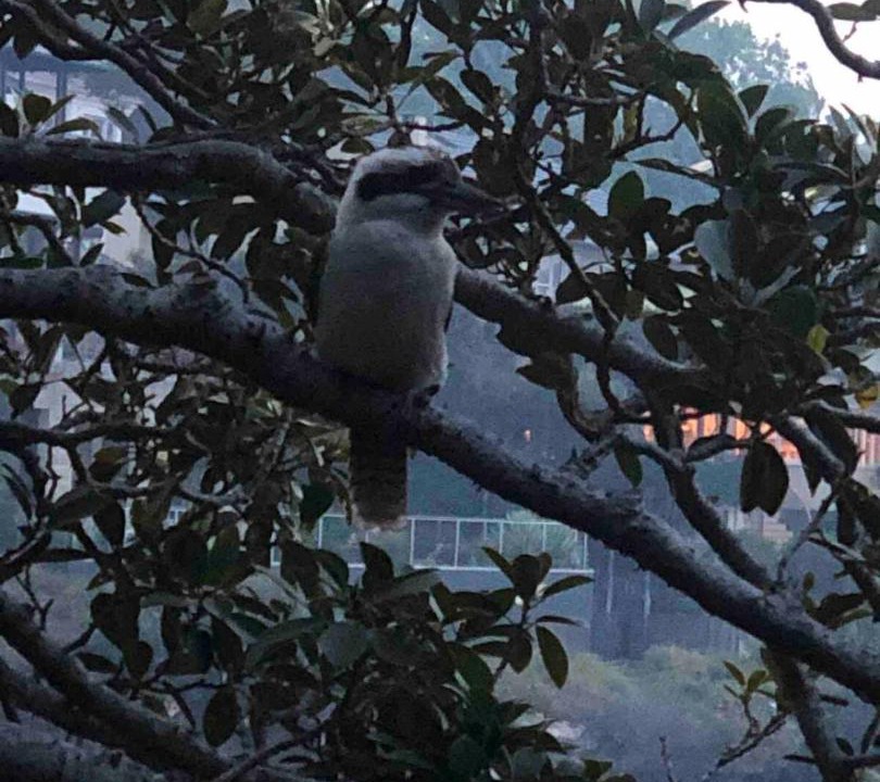 Photo of Others in Vaucluse