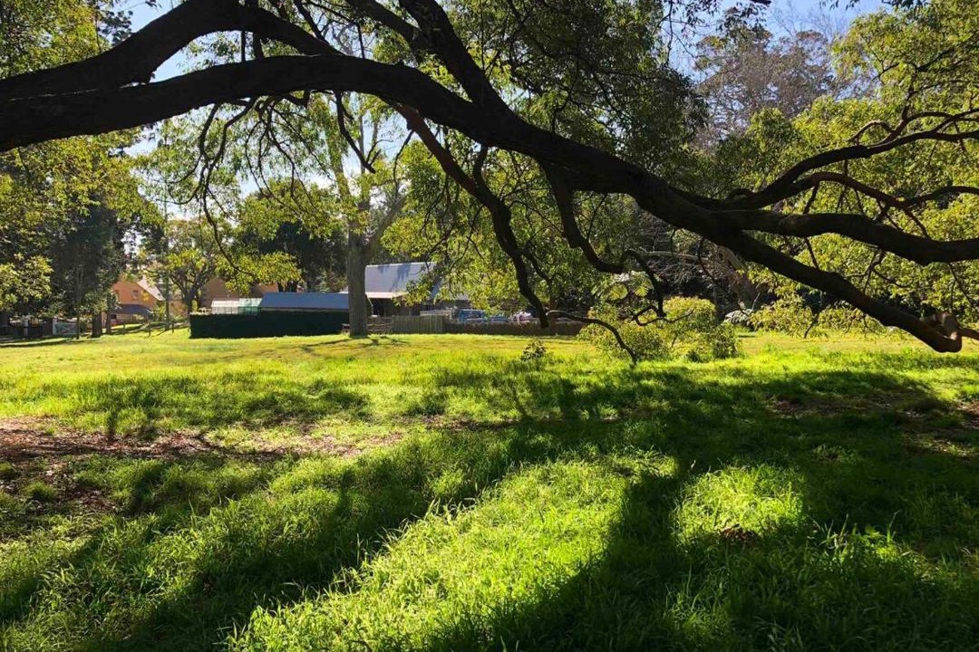 Photo of Others in Vaucluse