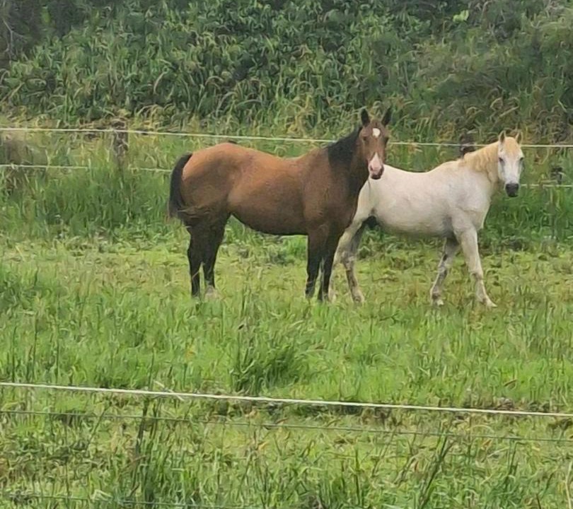 Photo of Others in Dulong
