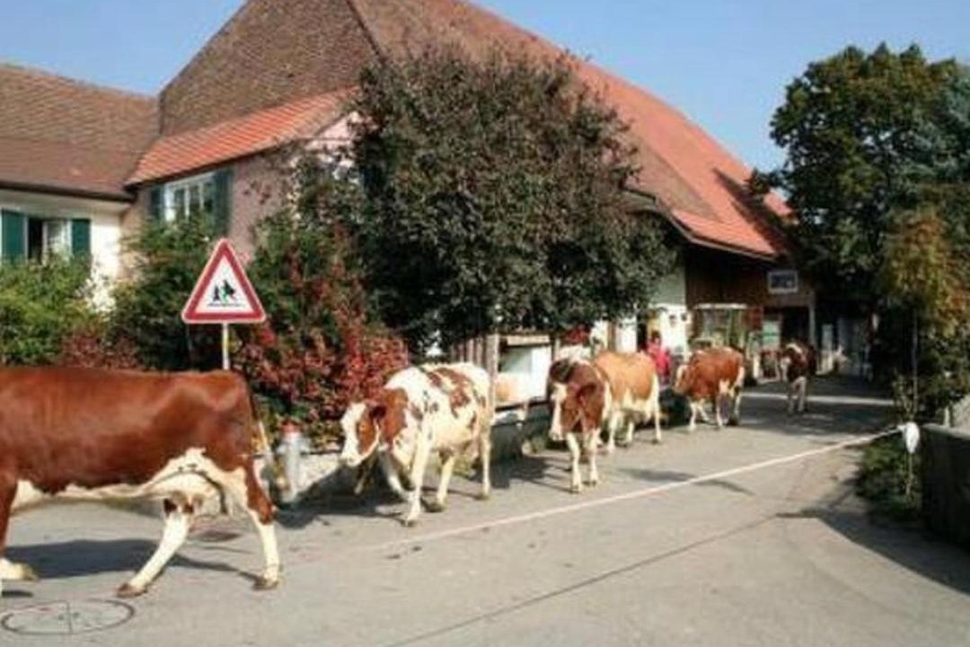 Photo of Others in Attiswil