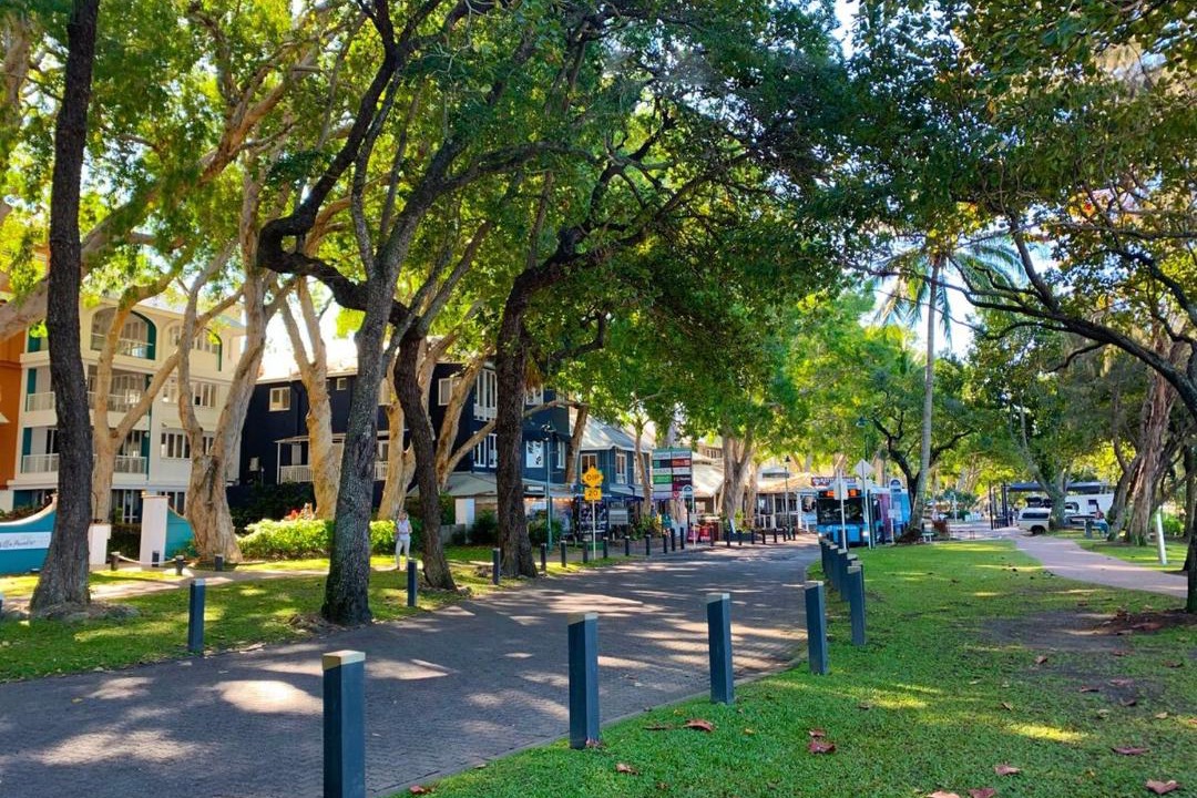 Photo of Others in Palm Cove