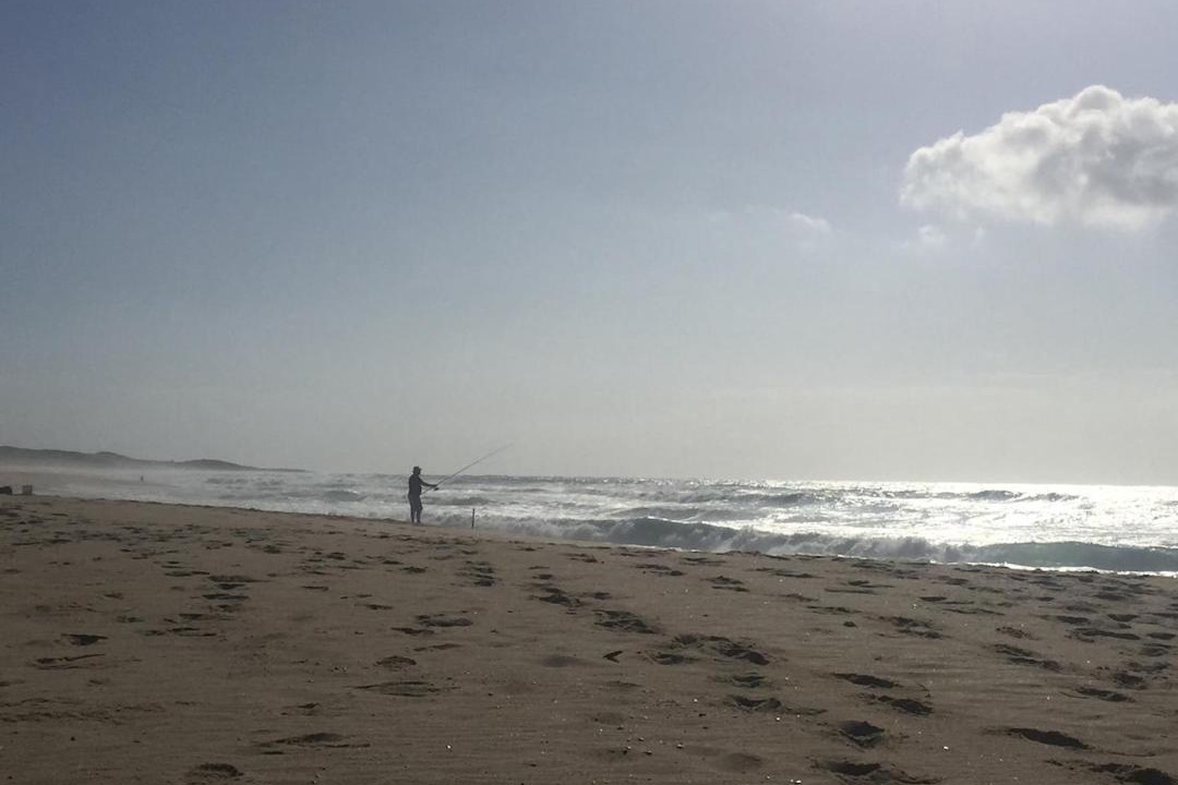 Photo of Others in Magenta Shores