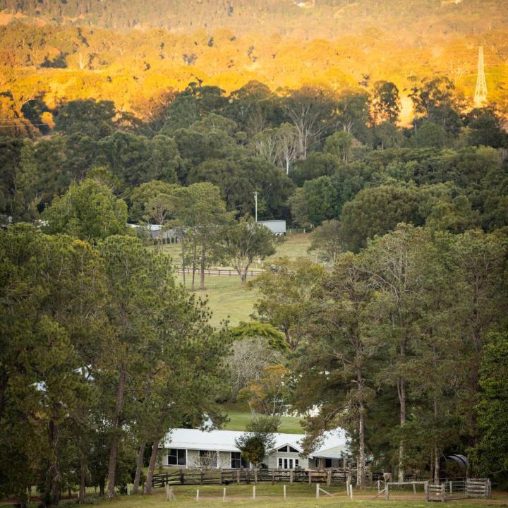 Photo of Others in Eumundi