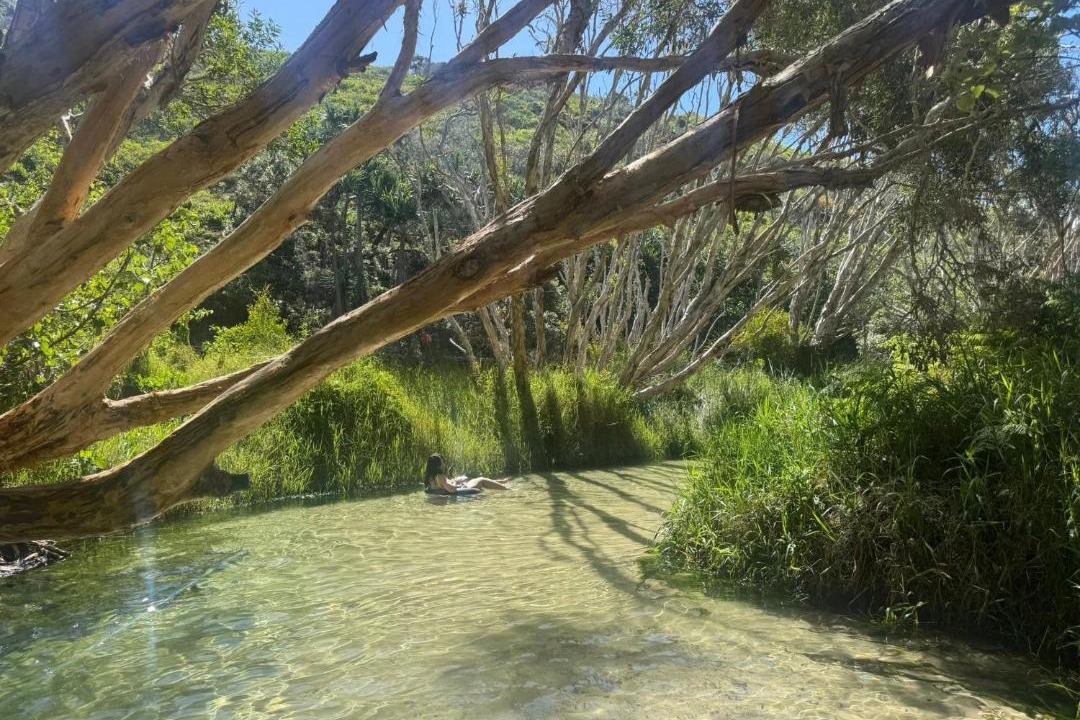 Photo of Others in Kingfisher Bay