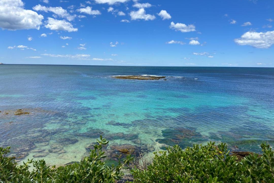Photo of Others in Cronulla