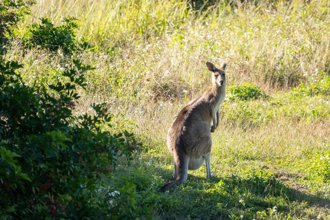 Photo of Others in Kalkie