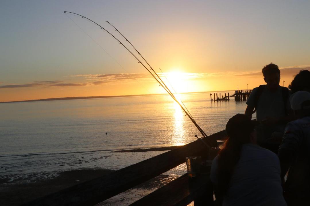 Photo of Others in Kingfisher Bay