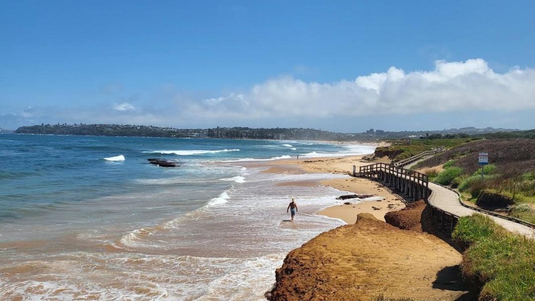 Photo of Others in Collaroy