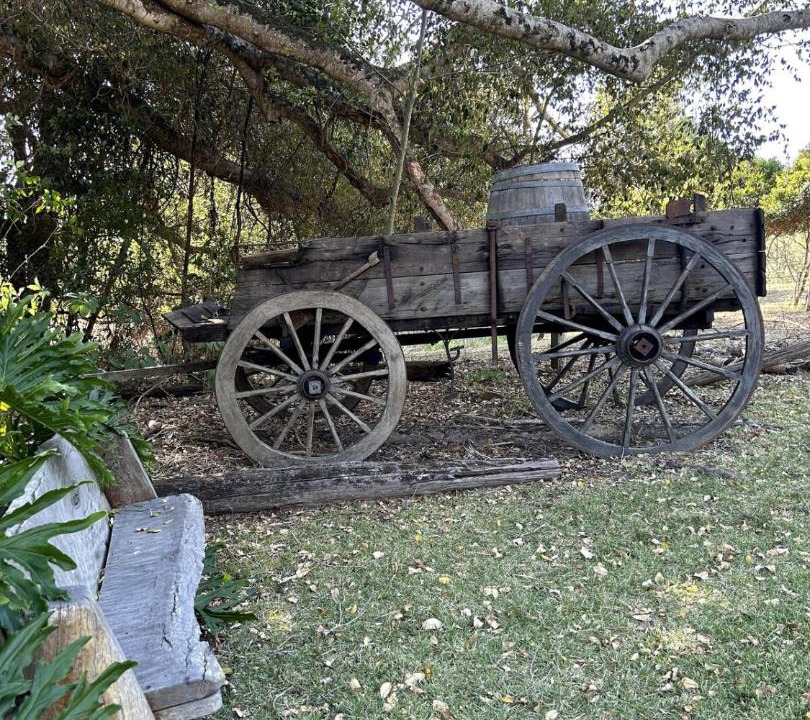 Photo of Others in Eumundi