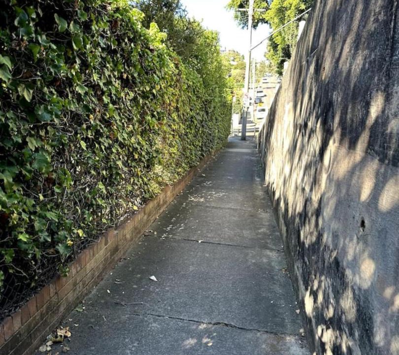 Photo of Others in Cammeray