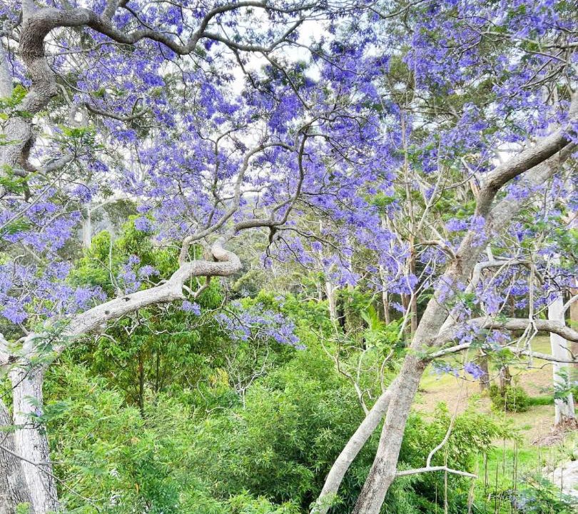 Photo of Others in Kincumber