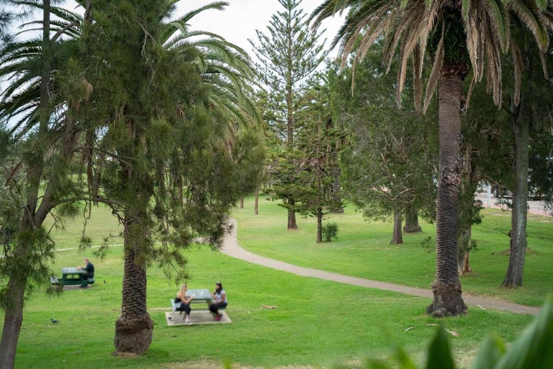 Photo of Others in Collaroy