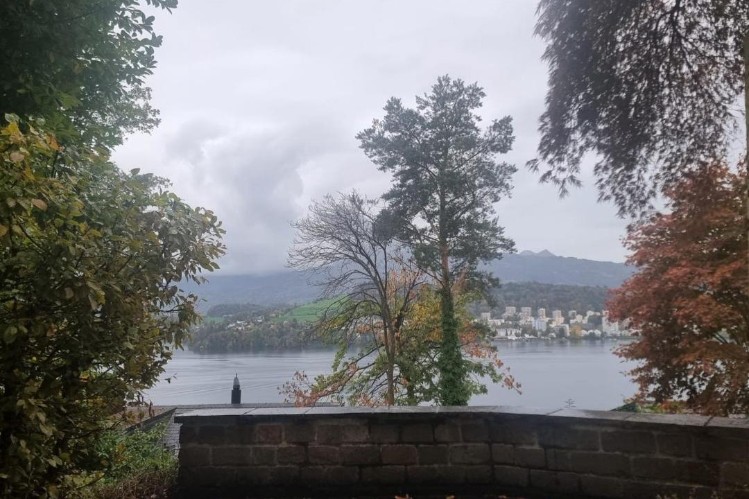 Photo of Others in Lucerne