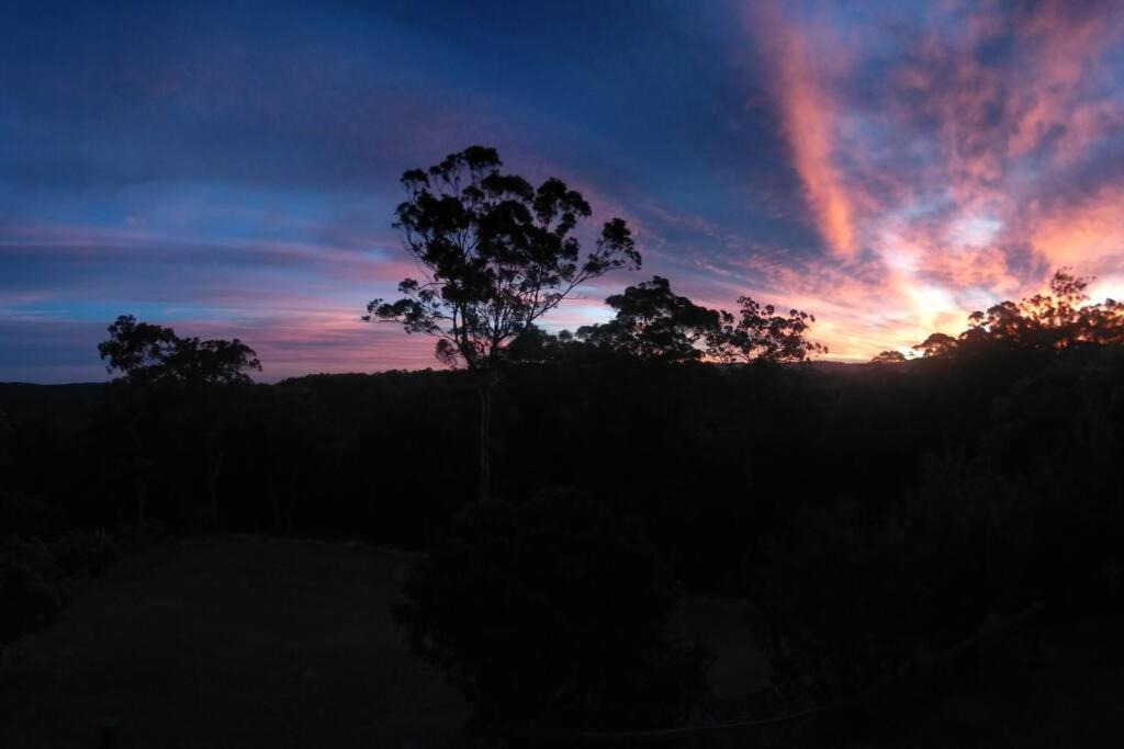 Photo of Others in Palmwoods