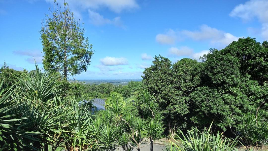 Photo of Others in Buderim