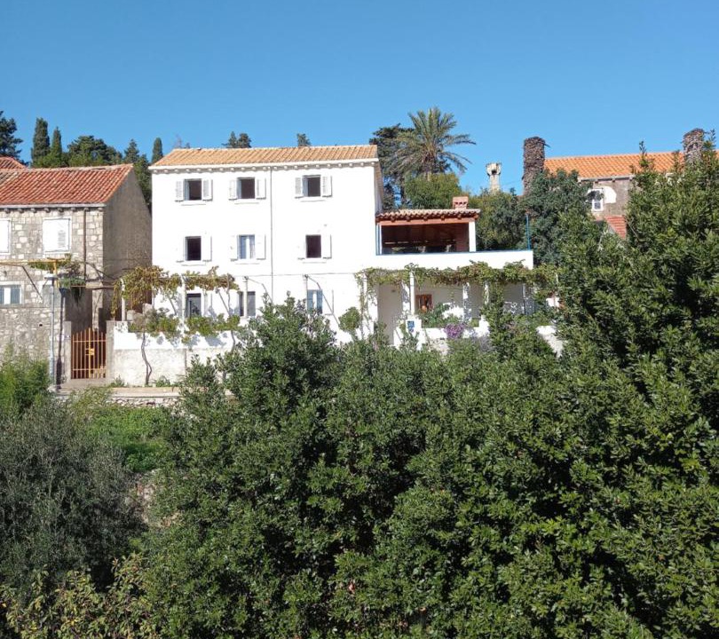 Photo of Others in Kolocep Island