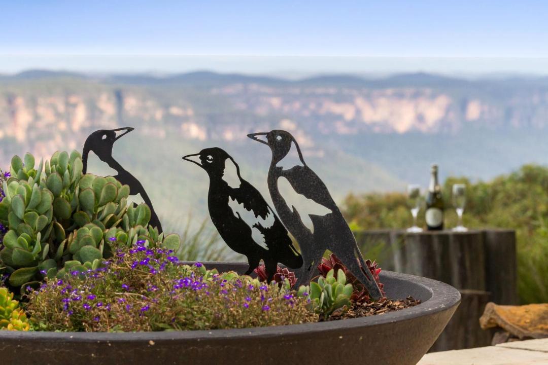 Photo of Others in Leura
