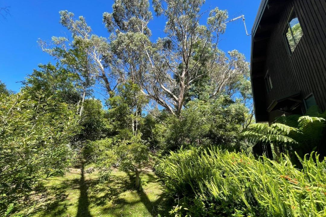 Photo of Others in Leura