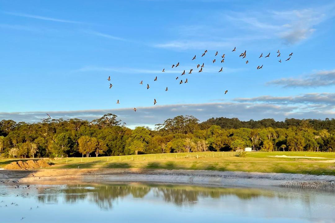 Photo of Others in Woombye