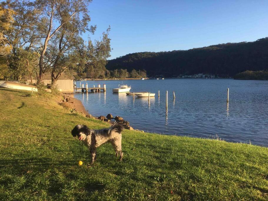 Photo of Others in Patonga