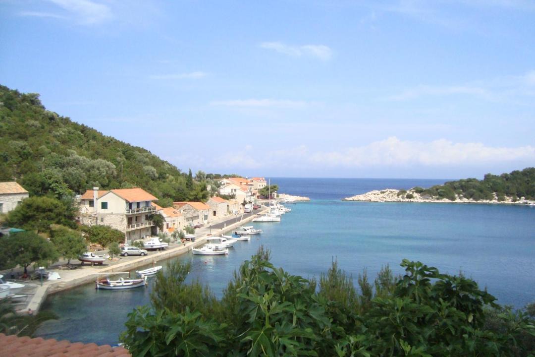Photo of Others in Zaklopatica