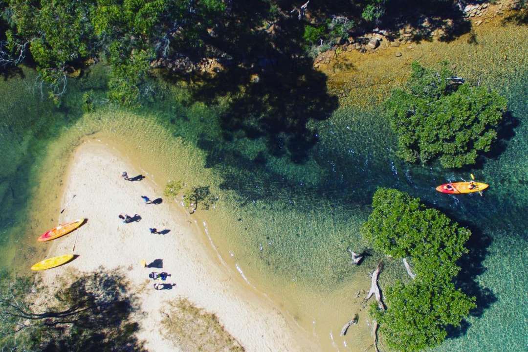 Photo of Others in Morning Bay