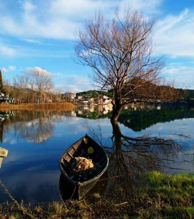Photo of Others in Ploce