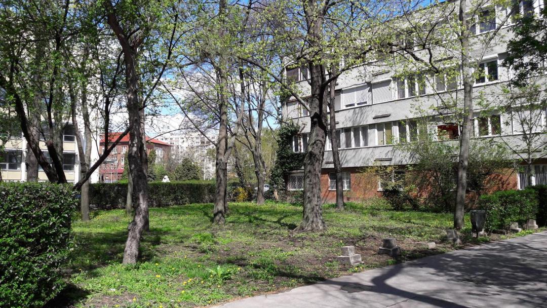 Photo of Others in Obuda