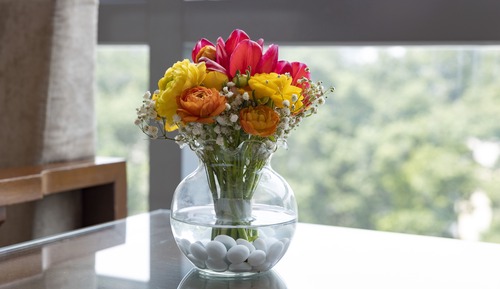 Family Suite with City View and Daily Afternoon tea
