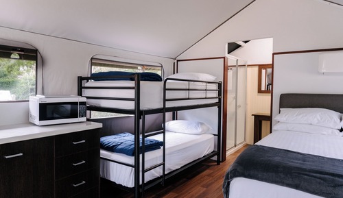 Safari Palm Tent