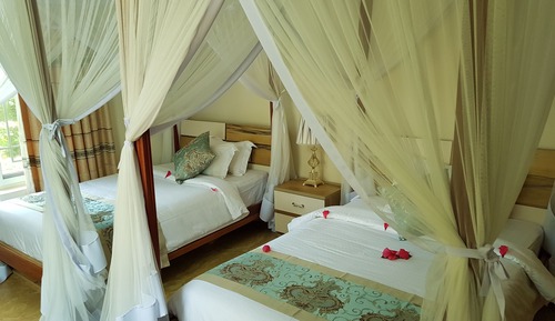 Deluxe Twin Room, Garden View