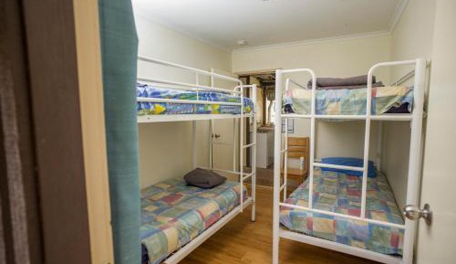 4-Bed Mixed Dormitory Room