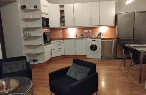 Nepszinhaz negyed Apartment | Rakoczi ut 57
