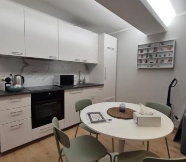 Basel City Centre Apartment | Newly Renovated Elegant Studio next to Messe