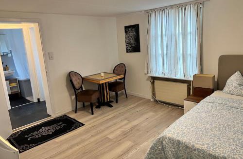 Huttwil Apartment | Newly Renovated Stylish & Spacious Studio