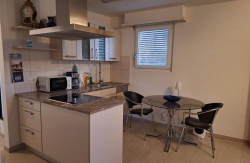 Matthaus Apartment | Grosse 1-Z-Wohnung