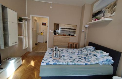 Csarnok negyed Apartment | Flower Studio Apartment