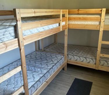 Hamilton Hostel | Palm Hamilton Backpacker