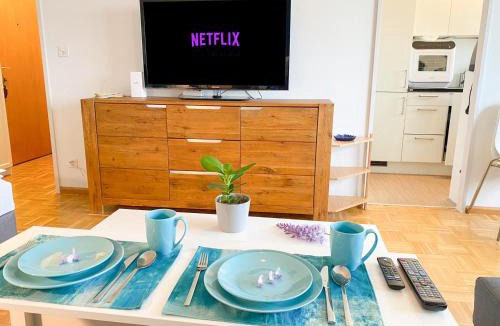 Matthaus Apartment | Bright Apartment with Balcony near Messe - Special BLUE TIGER Apartment, Basel, up to 4 guests