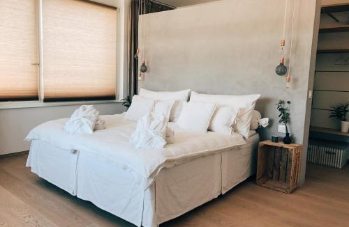 Vorstadte Apartment | AVLiving City LOFT Basel