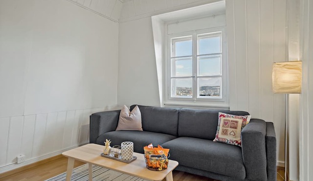 Cozy Apartment with Mountain Views, 15 Minutes from Luzern