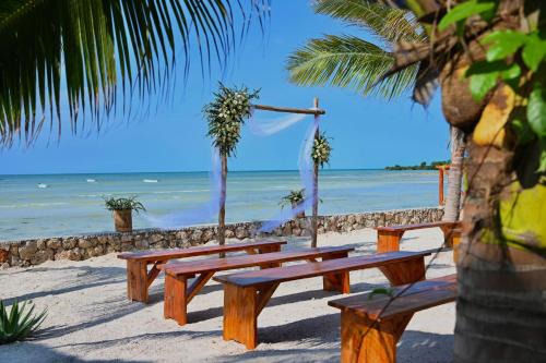 Moayana Liora Zanzibar