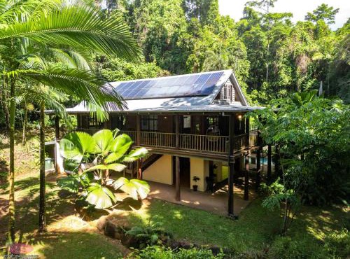 Fern House your serene rainforest retreat